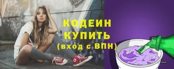 стафф Медногорск