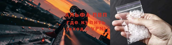 стафф Медногорск