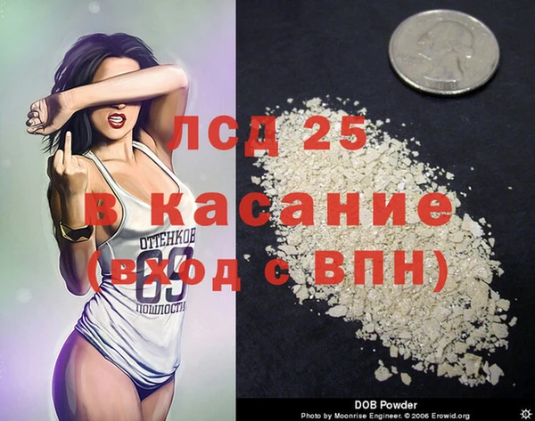 стафф Медногорск