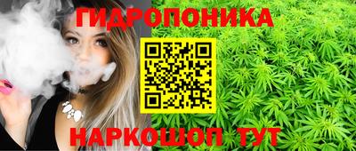 индика Балахна