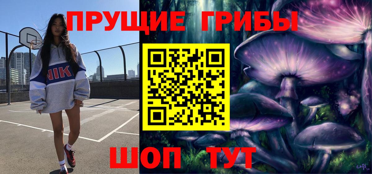 Псилоцибиновые грибы мухоморы Геленджик