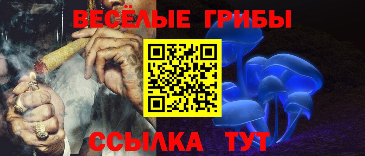 Геленджик  Псилоцибиновые грибы мицелий  Вход с VPN 